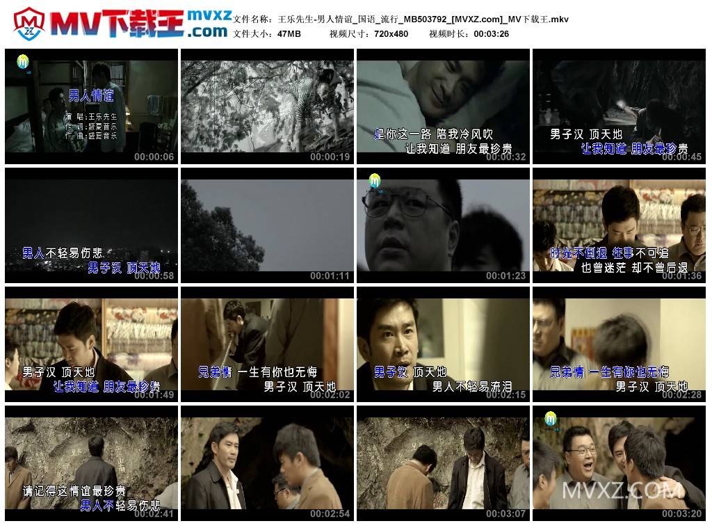 王乐先生-男人情谊_国语_流行_MB503792